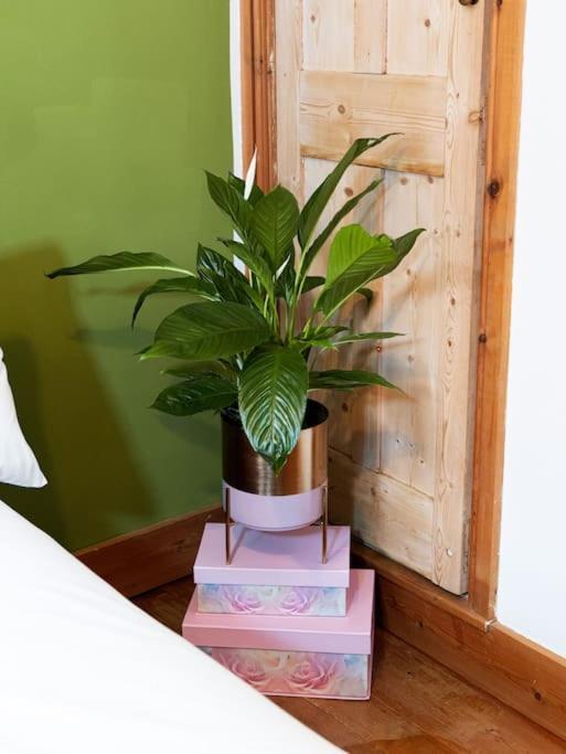 Cosy Cottage In Central Reading Free Parking & Fast Wifi Εξωτερικό φωτογραφία